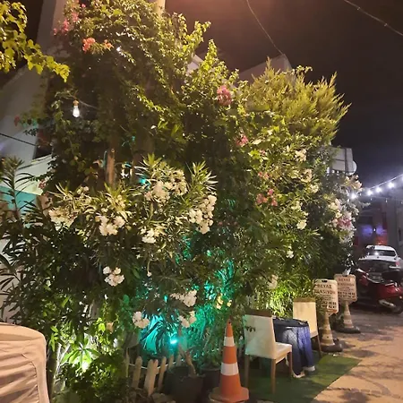 Beyaz Homestay Cesme