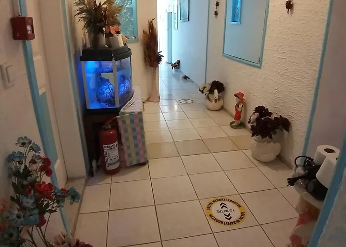 Проживание в семье Beyaz