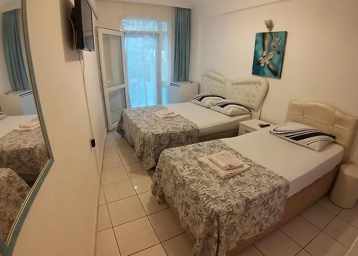 Проживание в семье Beyaz *