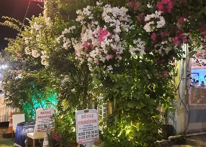 Проживание в семье Beyaz *