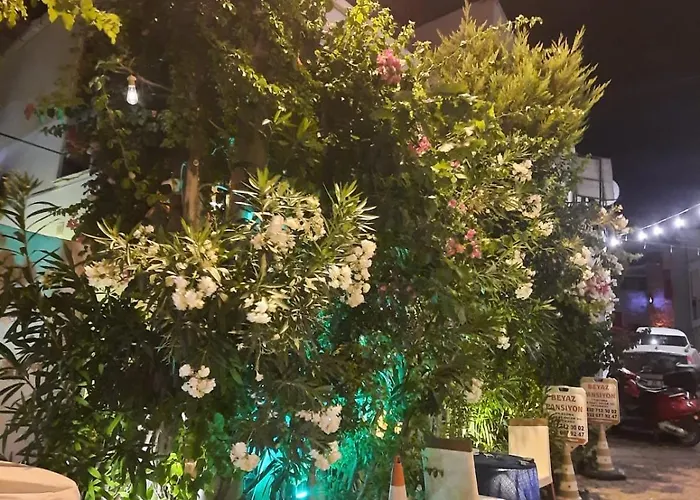 Beyaz Проживание в семье Кешме
