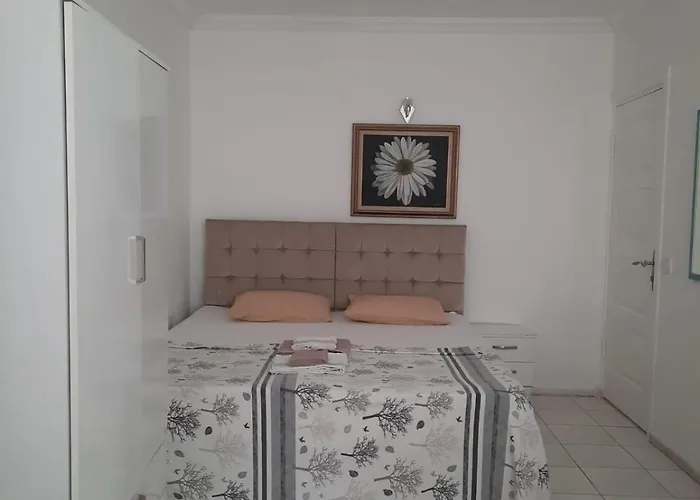 Проживание в семье Beyaz *